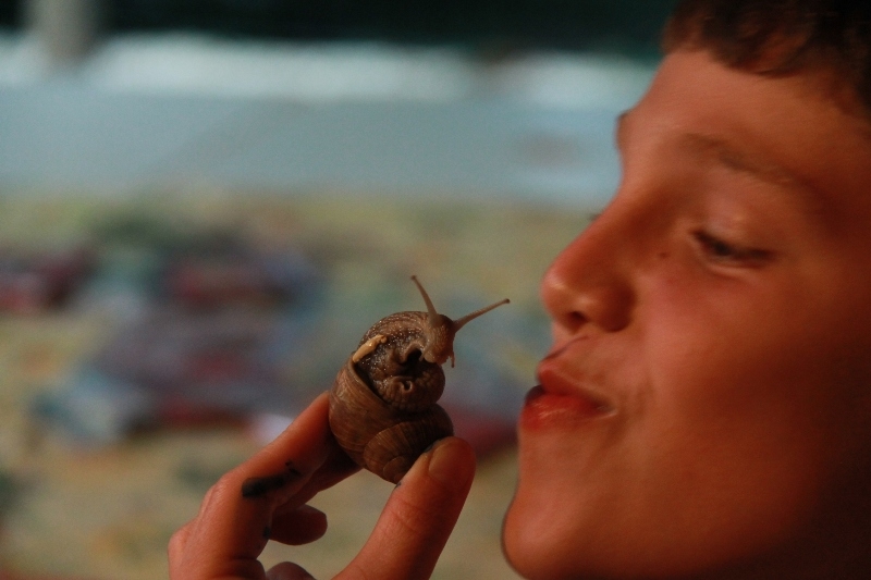 Village Camps International Summer Camp Ard&egrave;che, France 2019-07-26 https://www.villagecamps.com/journals_admin/images/647-11-18-07-2013.jpg lossless  (313).jpg